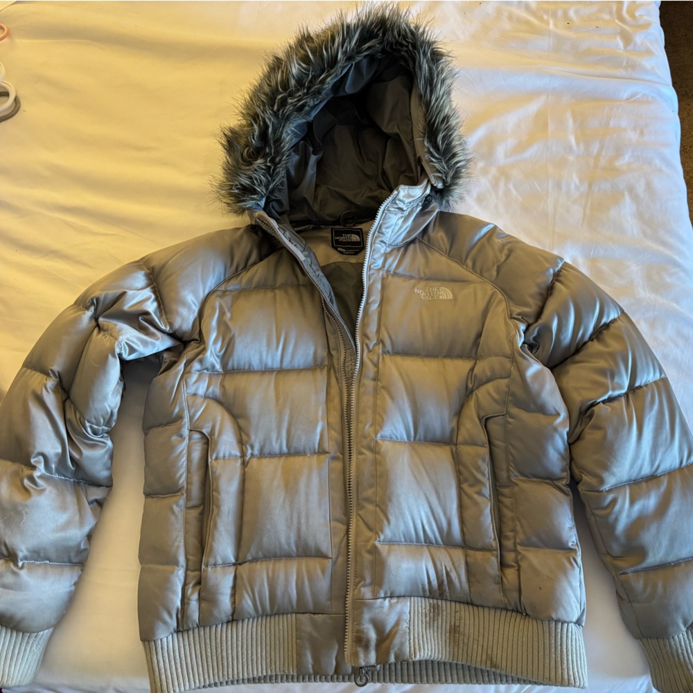 The North Face Silver Puffer Jacket with Faux Fur Hood